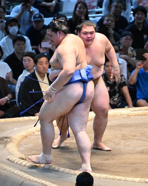 図・写真