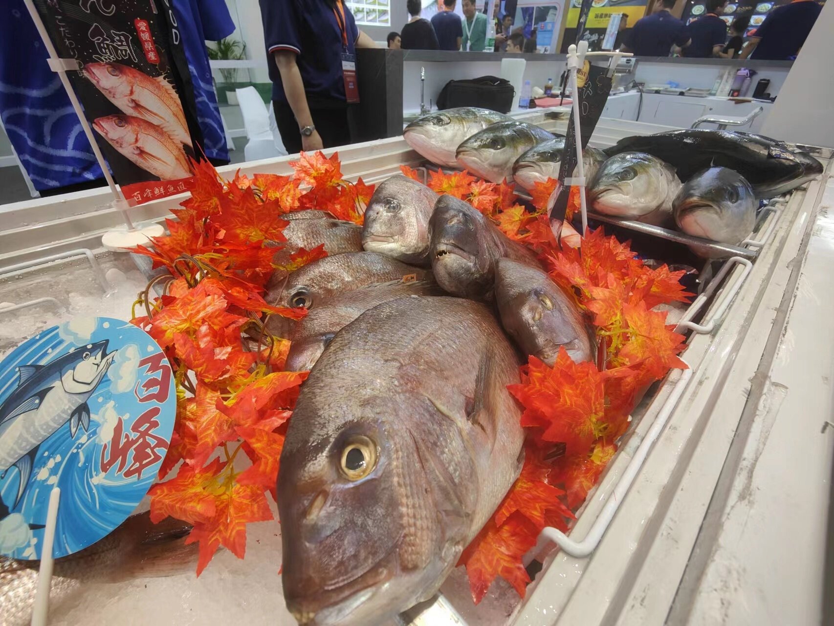 図・写真
