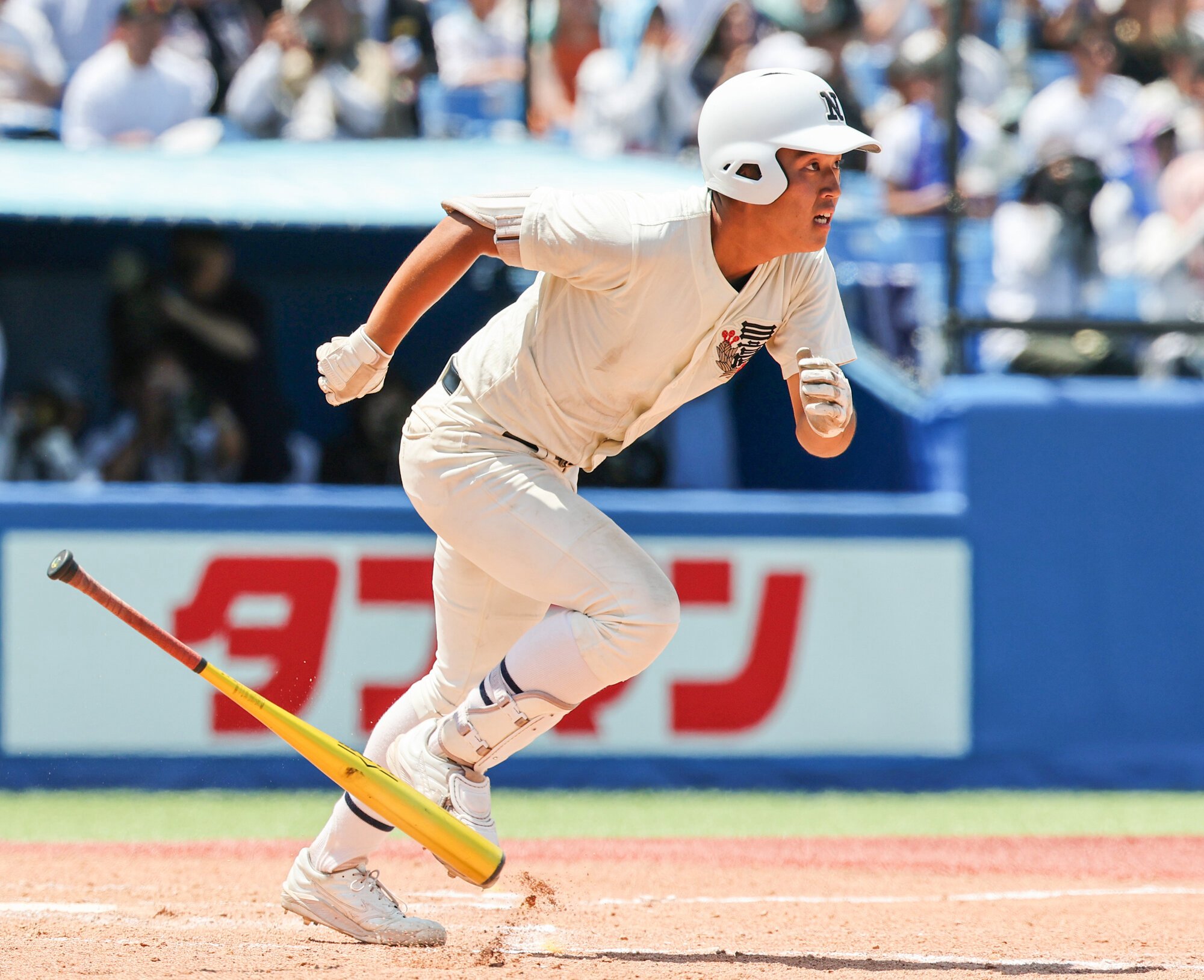 図・写真