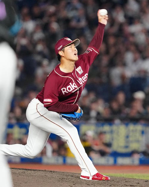 図・写真