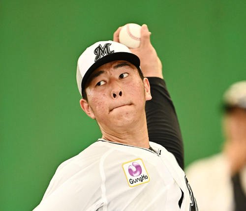 図・写真