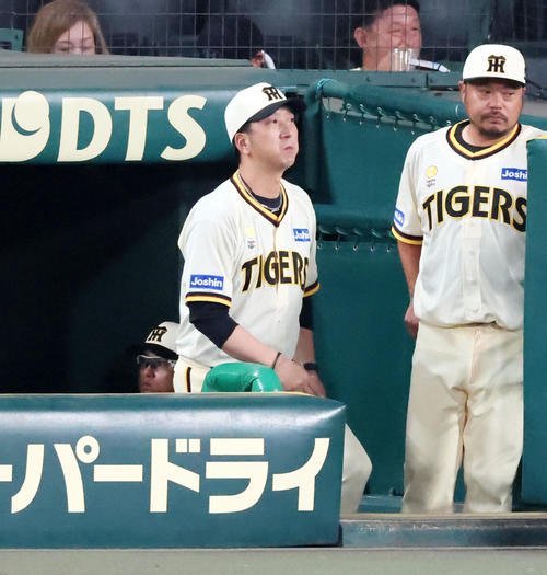 図・写真