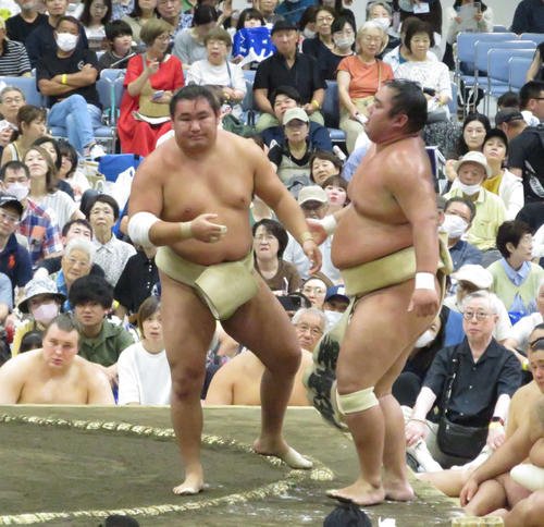 図・写真