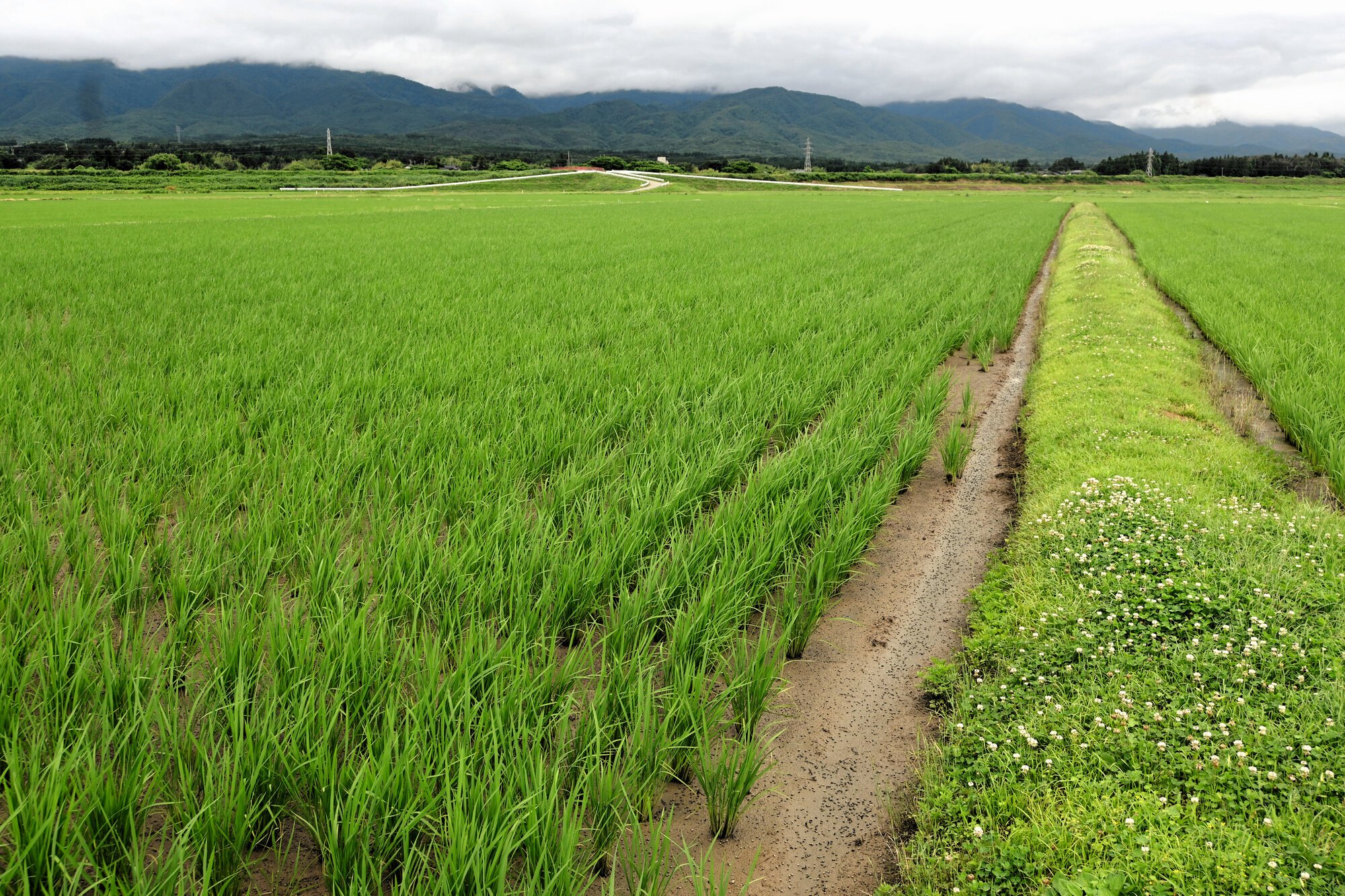 図・写真