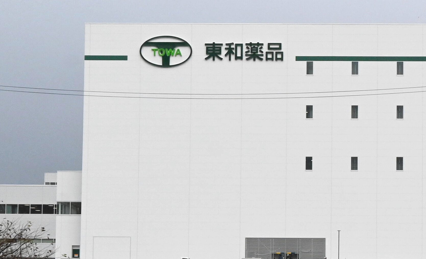 図・写真
