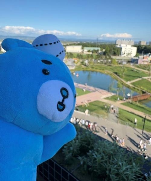 図・写真