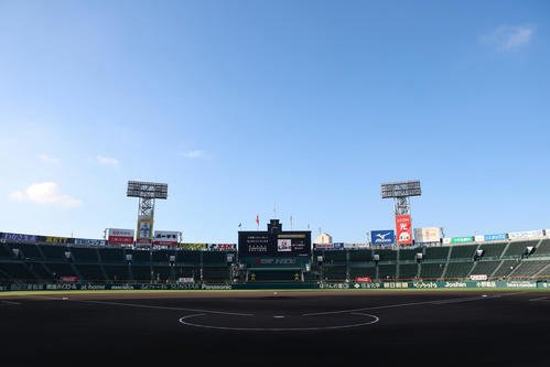 図・写真