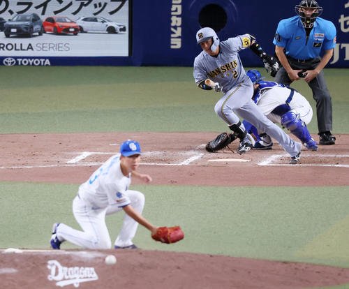図・写真