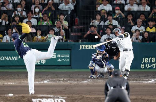図・写真