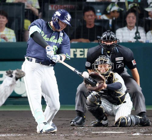 図・写真