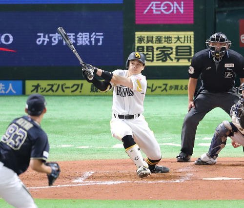 図・写真