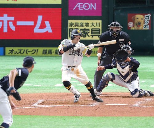 図・写真