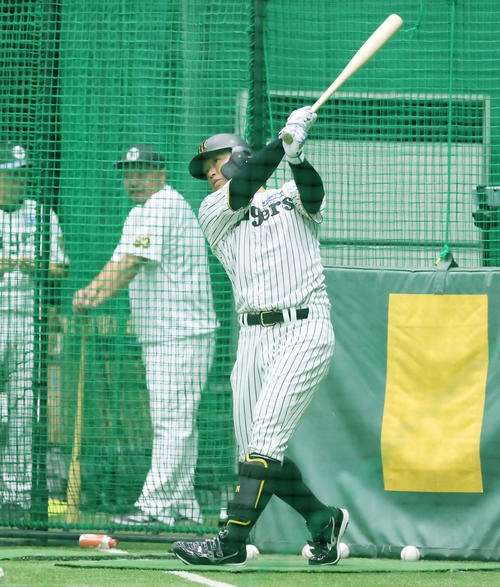 図・写真