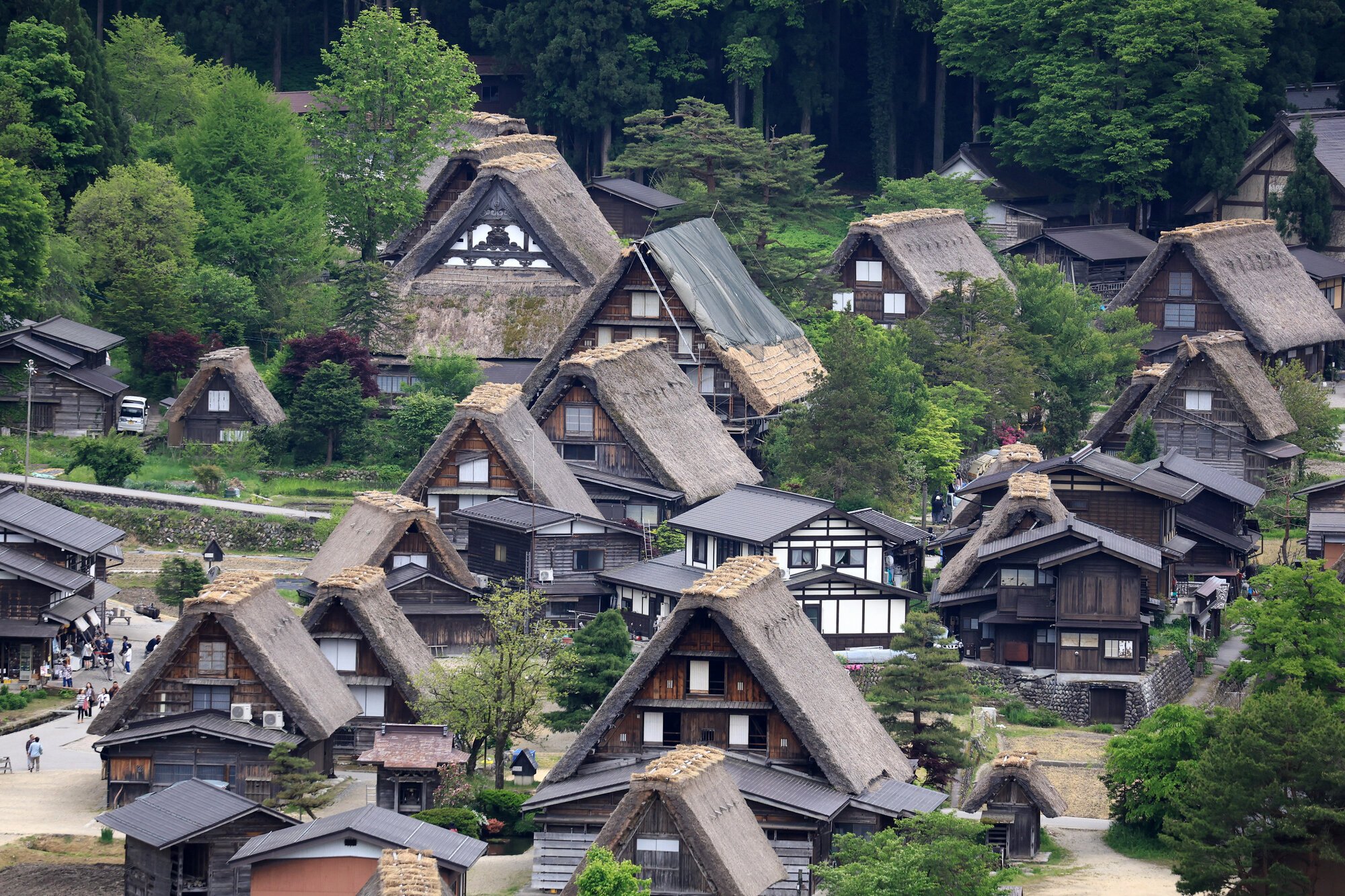 図・写真