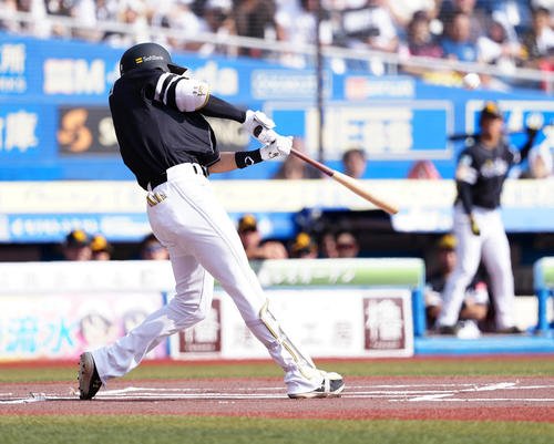 図・写真