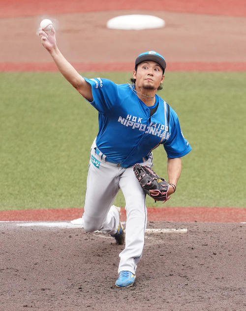 図・写真