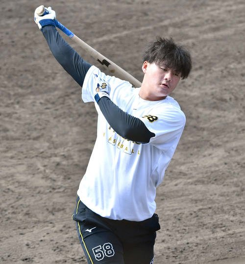 図・写真