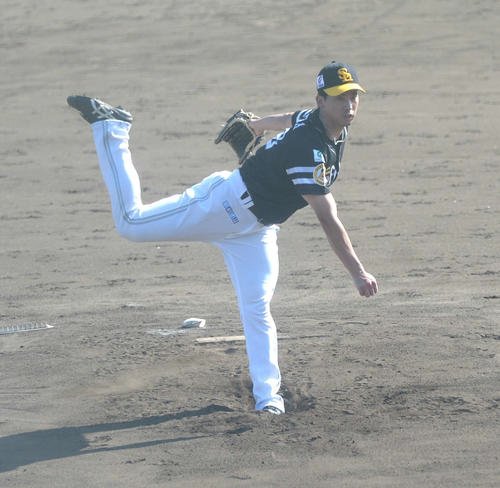 図・写真
