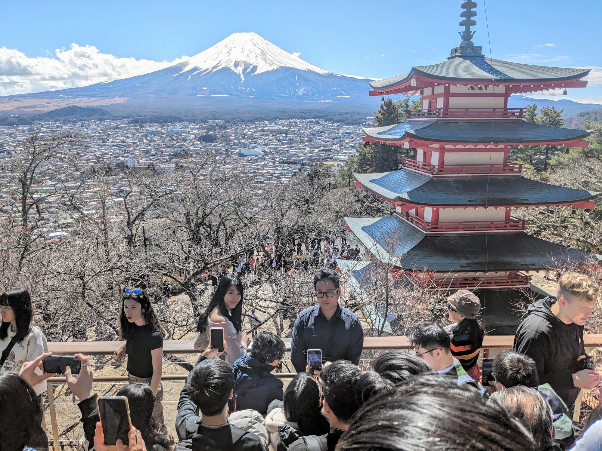 図・写真