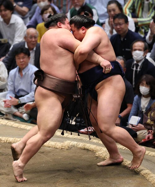 図・写真