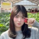 図・写真