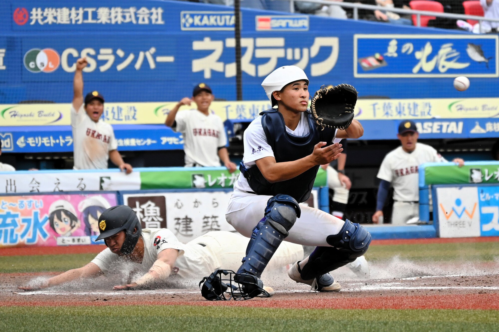 図・写真