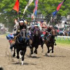 図・写真
