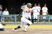 図・写真