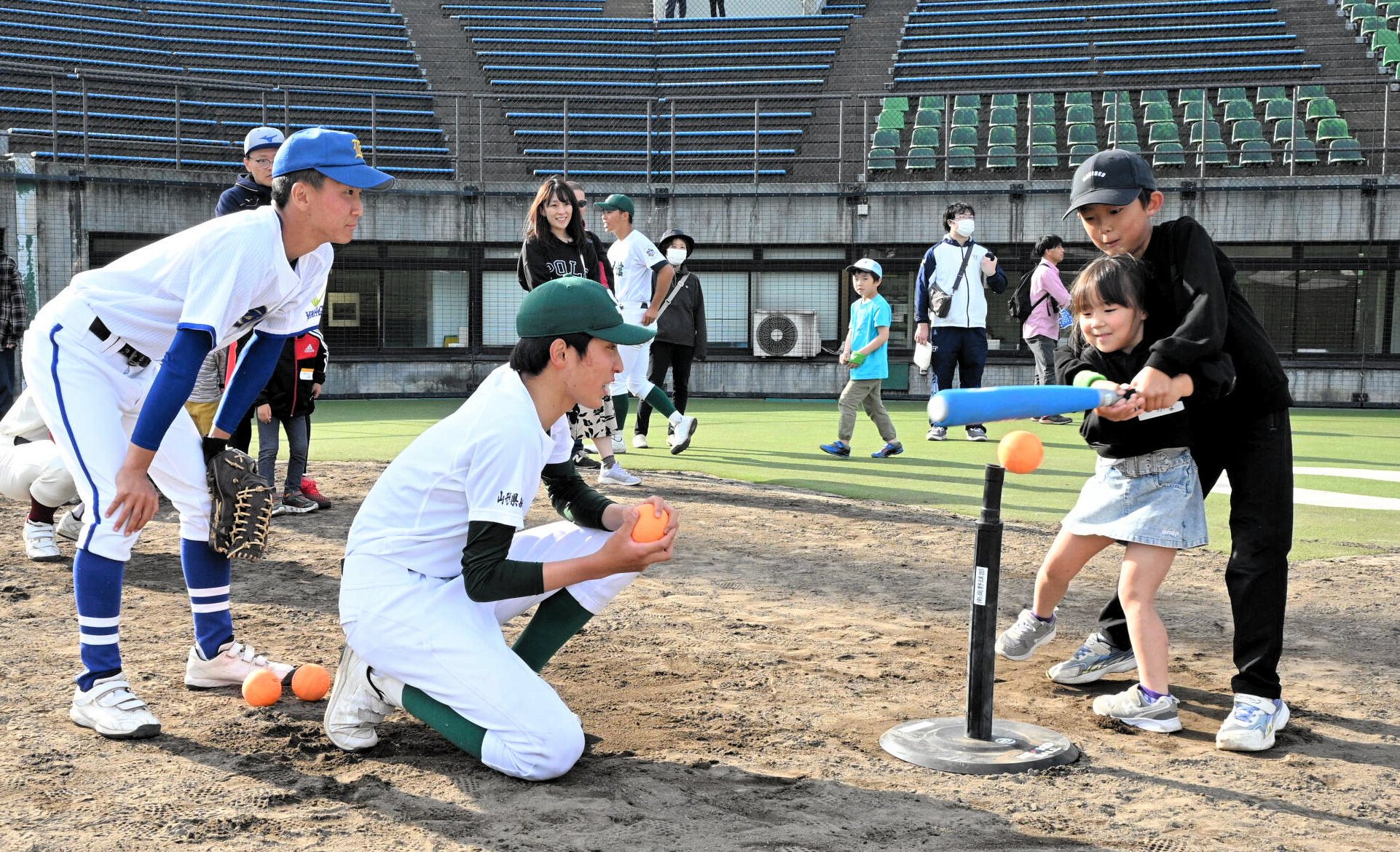 図・写真