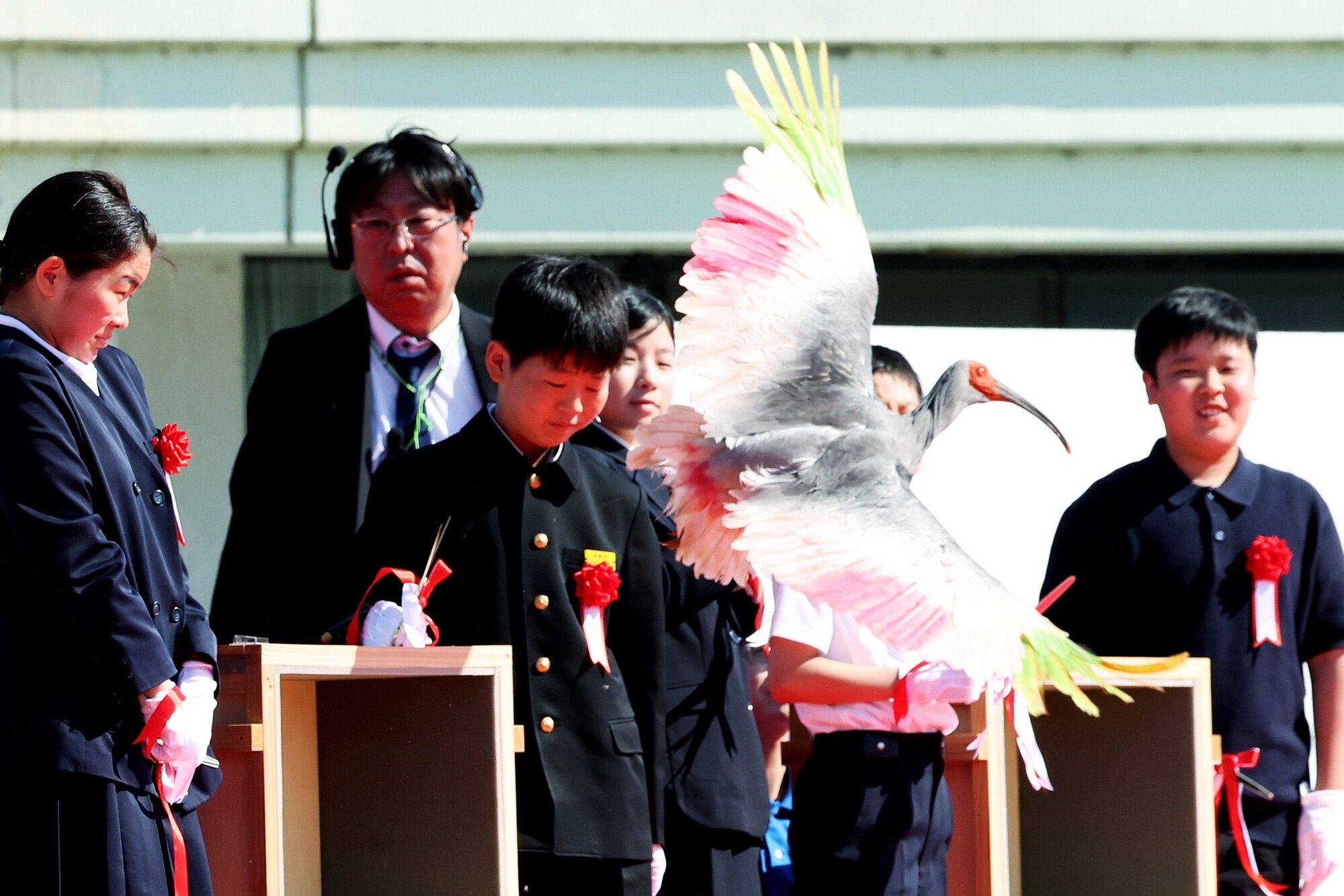 図・写真