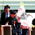 図・写真