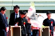 図・写真