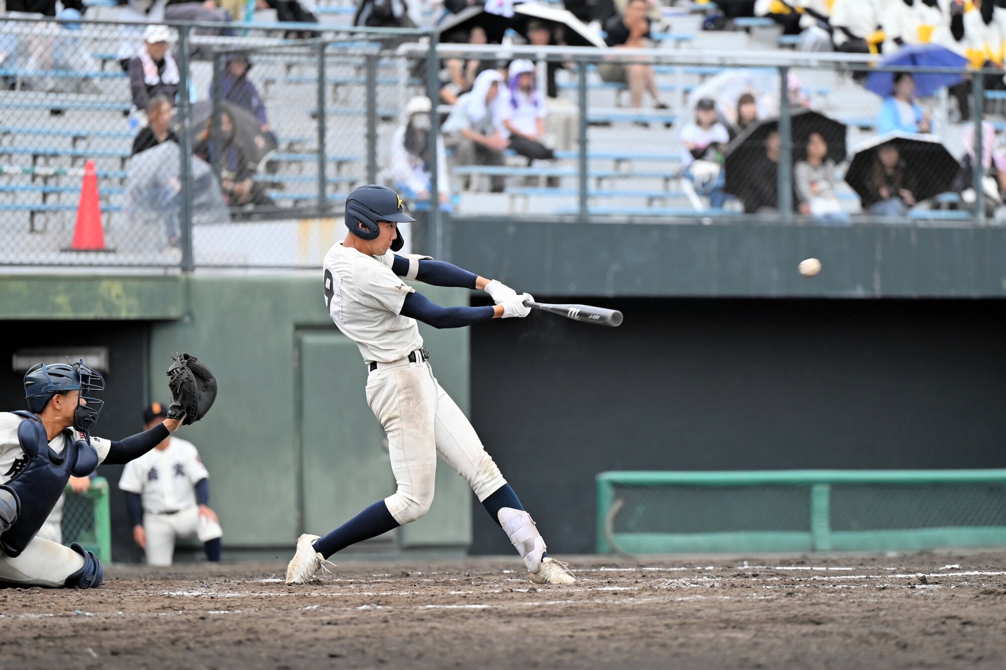 図・写真
