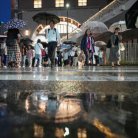 図・写真