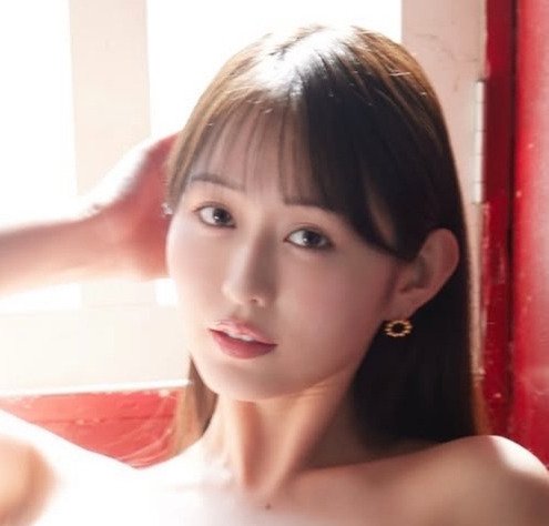 図・写真