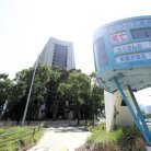 図・写真