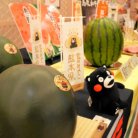 図・写真