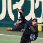 図・写真