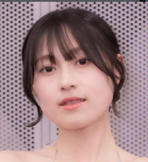 図・写真
