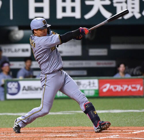 阪神】大山悠輔が藤川監督と笑顔でタッチ 本塁打テラスに先制7号ソロ
