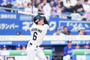 図・写真