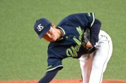 図・写真