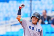 図・写真