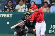 図・写真