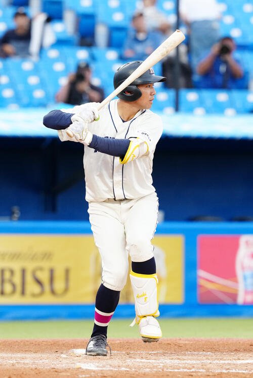 図・写真