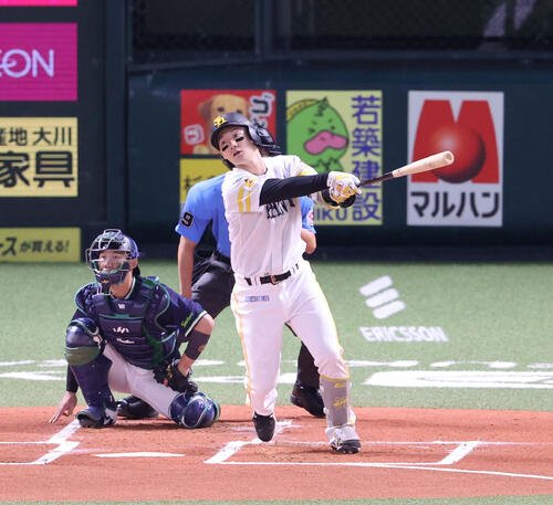 図・写真