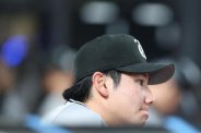 図・写真
