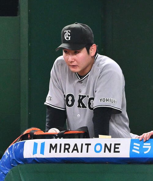 図・写真