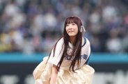 図・写真