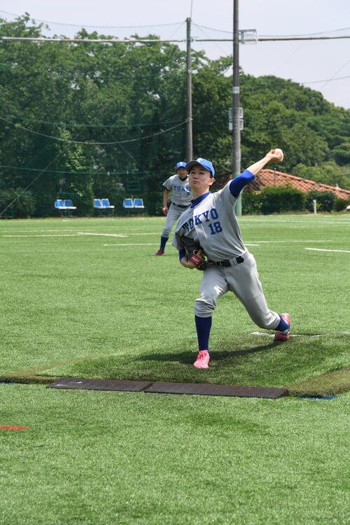 図・写真